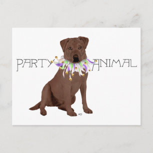 Schokoladen-Labrador-Retriever-Party Postkarte