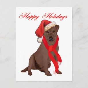 Schokoladen-Labrador retriever-Weihnachten Feiertagspostkarte