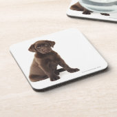 Schokoladen-Labrador retriever-Welpe Getränkeuntersetzer (Linke Seite)