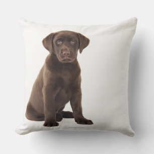 Schokoladen-Labrador retriever-Welpe Kissen