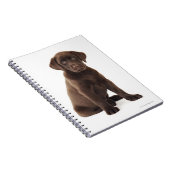 Schokoladen-Labrador retriever-Welpe Notizblock (Rechte Seite)