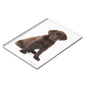Schokoladen-Labrador retriever-Welpe Notizblock (Linke Seite)