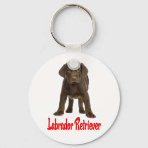 Schokoladen-Labrador-Retriever-Welpen-Hund-Schlüss Schlüsselanhänger