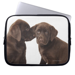 Schokoladen-Labrador retriever-Welpen Laptopschutzhülle