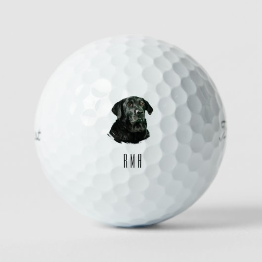 Schokoladen-Labrador Schwarzer Lab Golfball (Vorderseite)