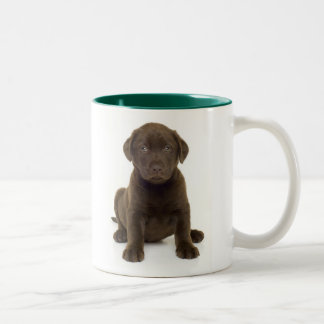 Schokoladen-Labrador-Tasse Zweifarbige Tasse