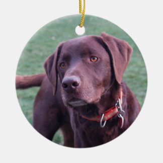 Schokoladen-Labrador-Verzierung Keramik Ornament