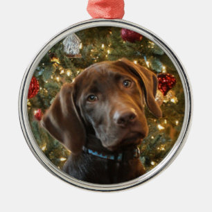 Schokoladen-Labrador-Weihnachtsverzierung Ornament Aus Metall