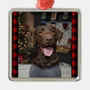 Schokoladen-Labrador-Weihnachtsverzierung Silbernes Ornament