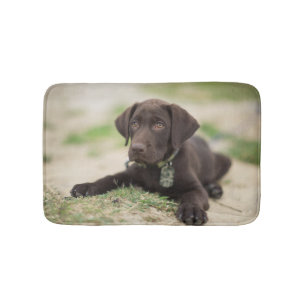 Schokoladen-Labrador-Welpe Badematte