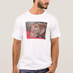 Schokoladen-Labrador-Welpe erwägt T-Shirt