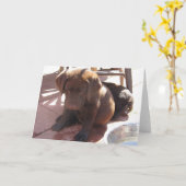 Schokoladen-Labrador-Welpe Karte (Gelbe Blume)