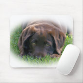 Schokoladen-Labrador-Welpe Mousepad (Mit Mouse)
