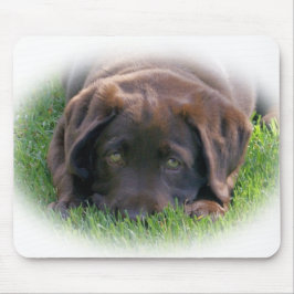 Schokoladen-Labrador-Welpe Mousepad