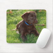 Schokoladen-Labrador-Welpe Mousepad (Mit Mouse)