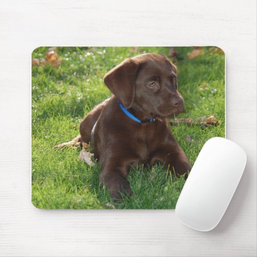Schokoladen-Labrador-Welpe Mousepad (Mit Mouse)