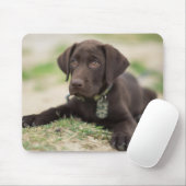 Schokoladen-Labrador-Welpe Mousepad (Mit Mouse)