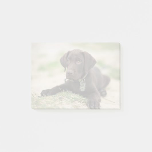 Schokoladen-Labrador-Welpe Post-it Klebezettel (Vorderseite)
