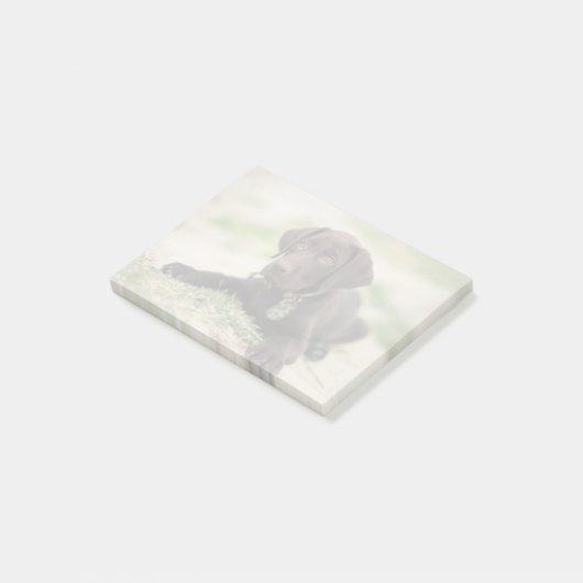 Schokoladen-Labrador-Welpe Post-it Klebezettel (angewinkelt)
