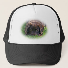 Schokoladen-Labrador-Welpe Truckerkappe