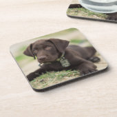 Schokoladen-Labrador-Welpe Untersetzer (Linke Seite)
