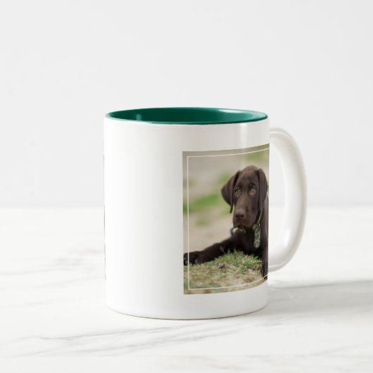 Schokoladen-Labrador-Welpe Zweifarbige Tasse (VorderseiteRechts)