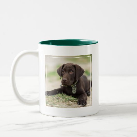 Schokoladen-Labrador-Welpe Zweifarbige Tasse (Links)