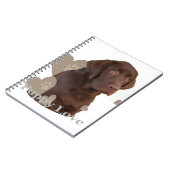 Schokoladen-Labrador-Welpen-Liebe Notizblock (Linke Seite)