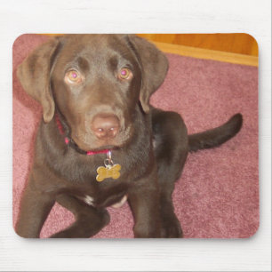 Schokoladen-Labrador-Welpen-Mausunterlage Mousepad