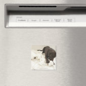 Schokoladenbraun Magnet (In Situ (Geschirrspüler))