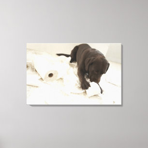 Schokoladenbraunes Labrador Leinwanddruck