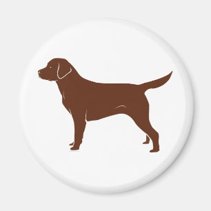 Schokoladenbraunes Labrador retriever Magnet