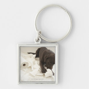 Schokoladenbraunes Labrador Schlüsselanhänger