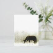 Schokoladenbrose im Nebel Postkarte (Stehend Vorderseite)