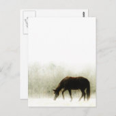 Schokoladenbrose im Nebel Postkarte (Vorne/Hinten)