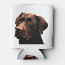 Schokoladengesicht Labrador