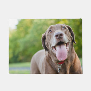 Schokoladenhund Fußmatte