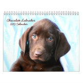 Schokoladenkalender Labrador Kalender (Titelbild)