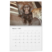 Schokoladenkalender Labrador Kalender (Feb 2027)