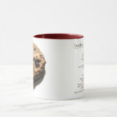 Schokoladenkeks in einer Tasse (Zentrum)