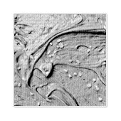 Schokoladenkuchen, geschmolzen gummistempel (Prägung)