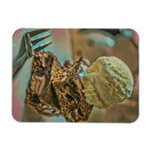 Schokoladenkuchen Magnet (Horizontal)