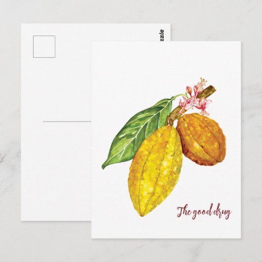 Schokoladenobst Postkarte (Vorne/Hinten)