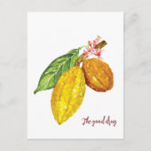 Schokoladenobst Postkarte (Vorderseite)