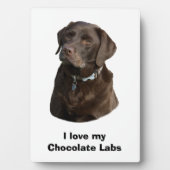 Schokoladenportrait Labrador Foto Fotoplatte (Vorderseite)