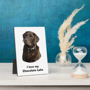 Schokoladenportrait Labrador Foto Fotoplatte