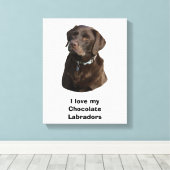 Schokoladenportrait Labrador Foto Leinwanddruck (Insitu (Holzboden))