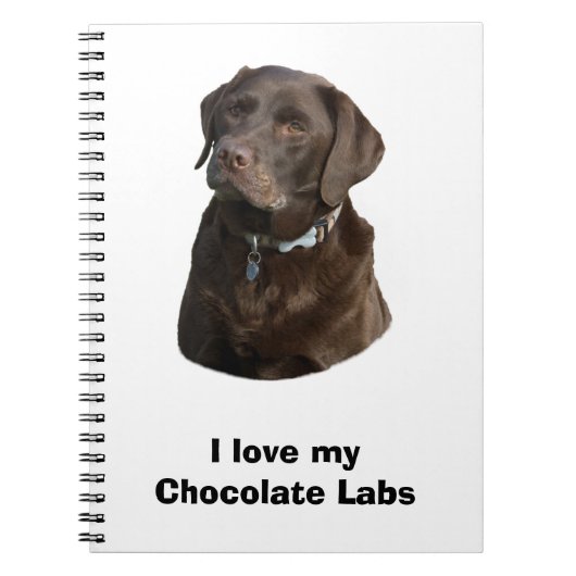 Schokoladenportrait Labrador Foto Notizblock (Vorderseite)