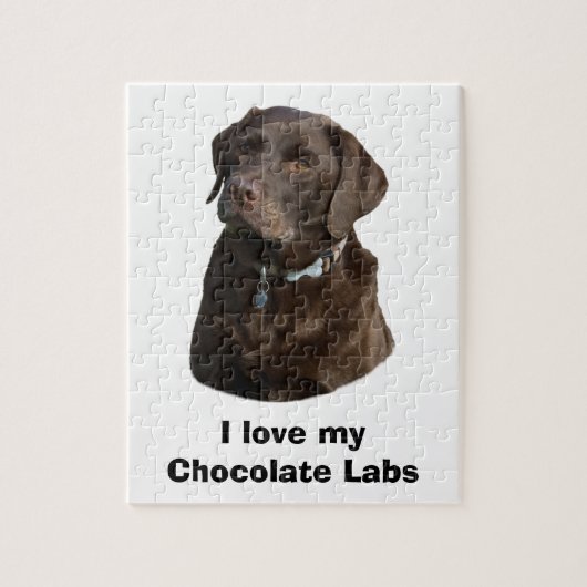 Schokoladenportrait Labrador Foto Puzzle (Vertikal)