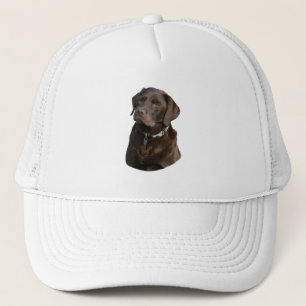 Schokoladenportrait Labrador Foto Truckerkappe